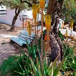 Flaire Mar Ferienhaus